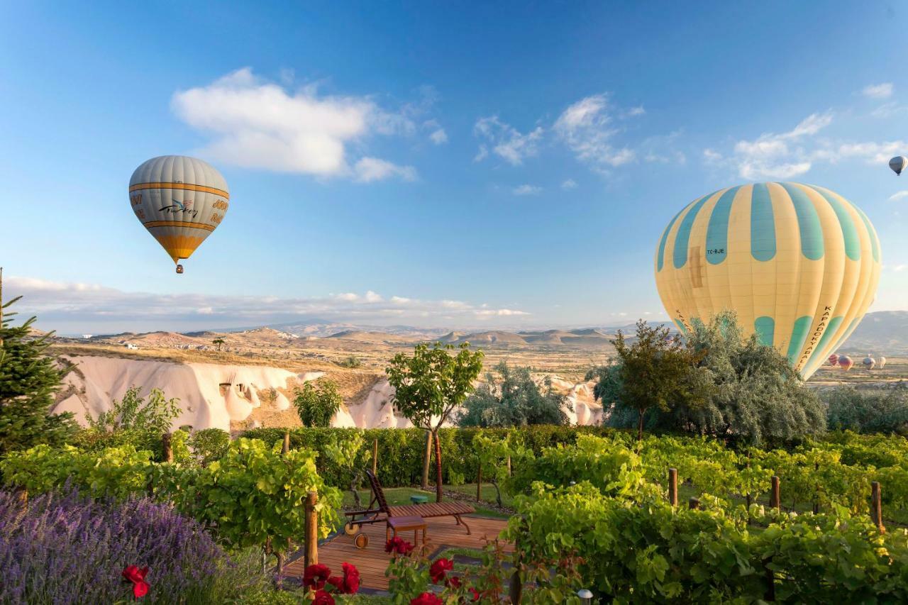 ОТЕЛЬ ARIANA SUSTAINABLE LUXURY LODGE - SPECIAL CATEGORY - CAPPADOCIA  УЧИСАР 2* (Турция) - от 52761 RUB | NOCHI