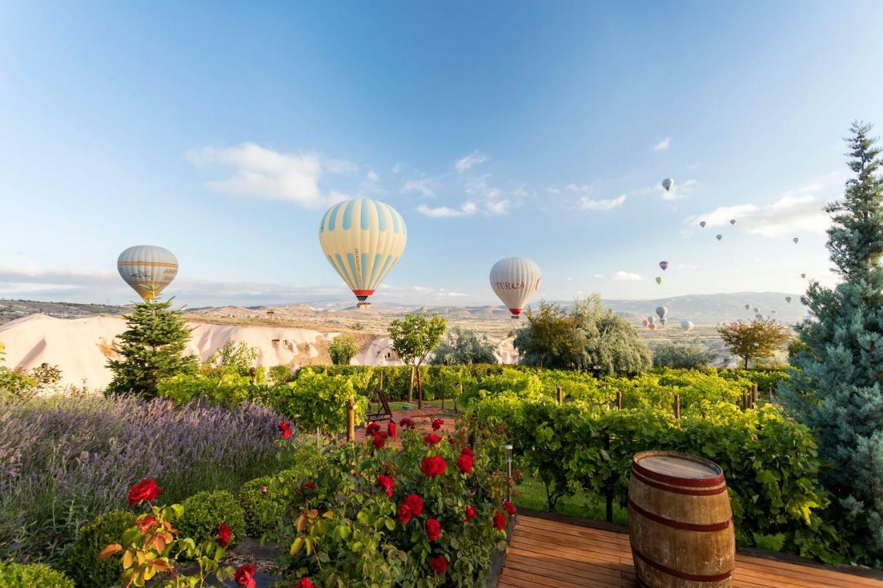 ОТЕЛЬ ARIANA SUSTAINABLE LUXURY LODGE - SPECIAL CATEGORY - CAPPADOCIA  УЧИСАР 2* (Турция) - от 52761 RUB | NOCHI